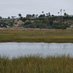 PokerRun_0020 (September 17, 2011)